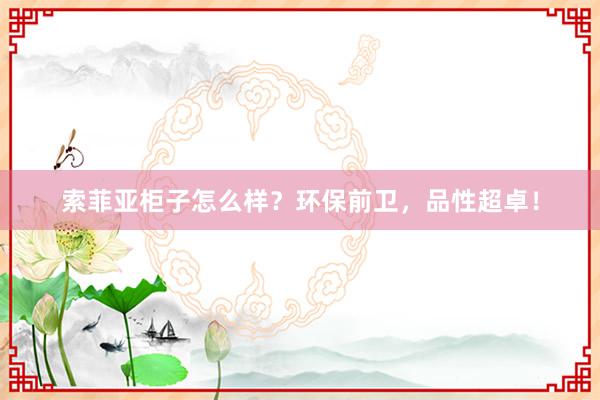 索菲亚柜子怎么样？环保前卫，品性超卓！